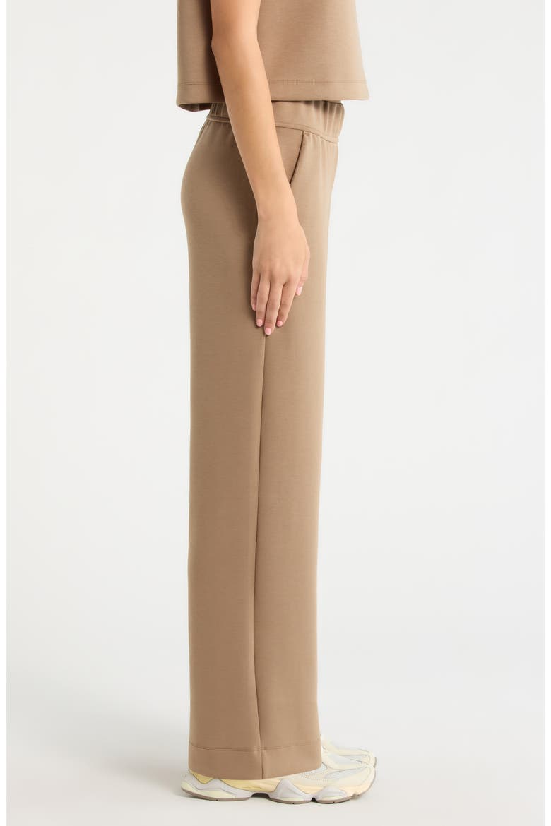 Dreamweave Relaxed Straight Leg Pants, Alternate, color, CARIBOU