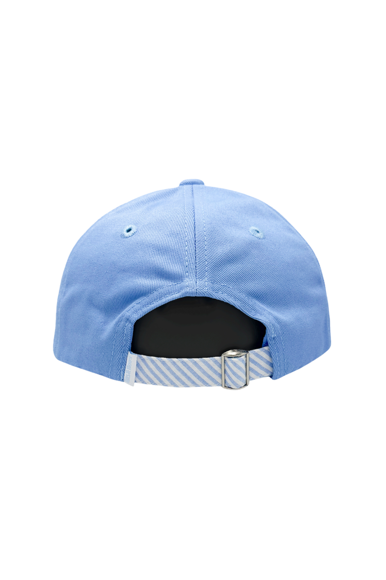 Retriever Dog Twill Baseball Hat, Alternate, color, Blue