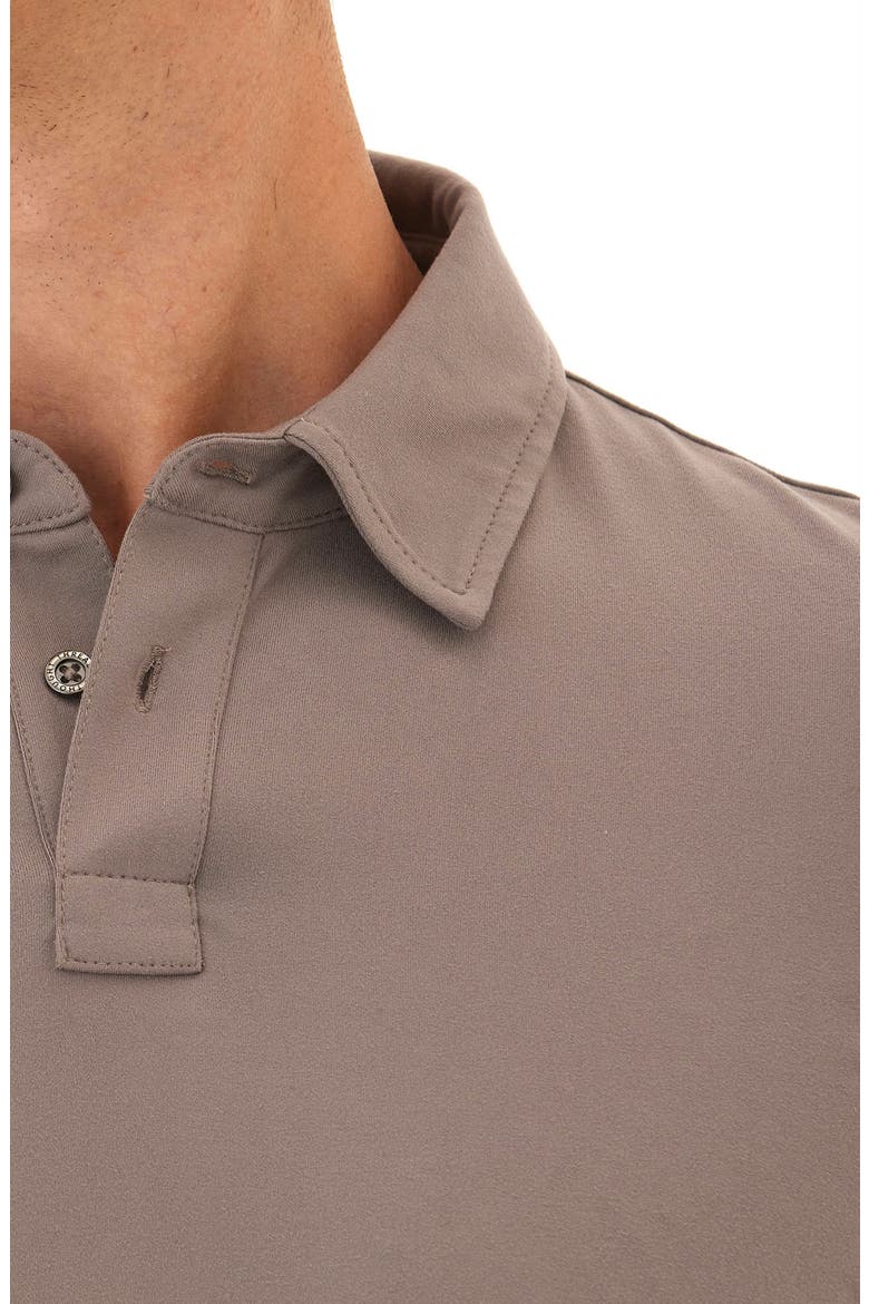 Darryn Luxe Long Sleeve Polo, Alternate, color, PALOMA