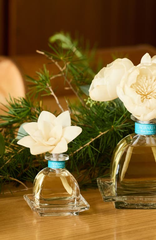 Agraria San Francisco Petiteessence Reed Diffuser In Blue