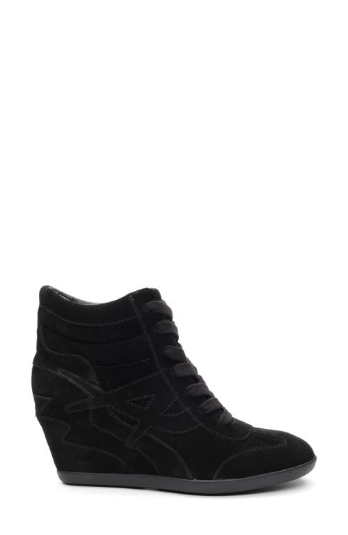 Ash Boradia Wedge Sneaker In Black