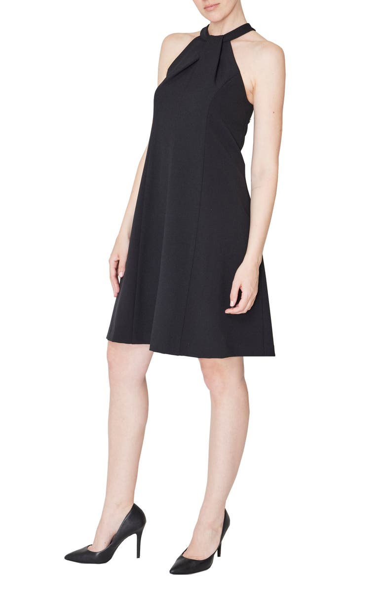 Julia Jordan Sleeveless Fit & Flare Dress, Alternate, color, 
