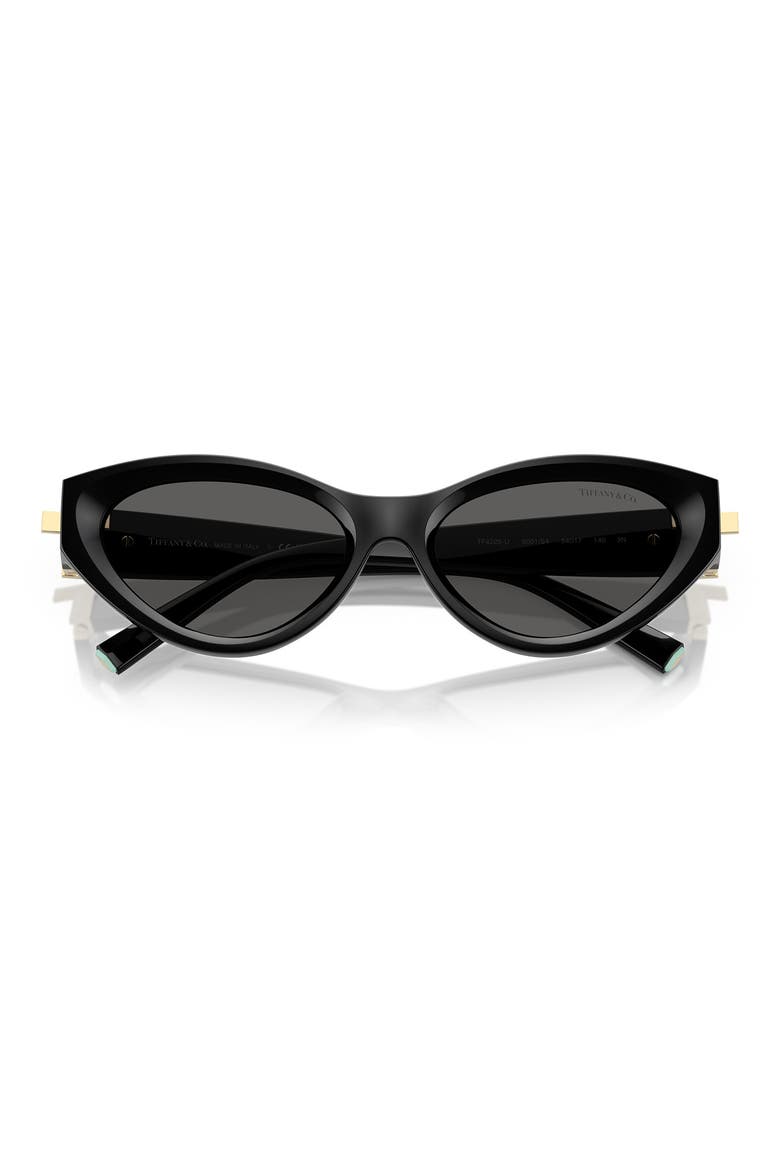 54mm Oval Sunglasses, Alternate, color, BLACK