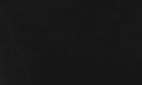 Bebe Plunge Neck Halter Floor Length Dress In Black