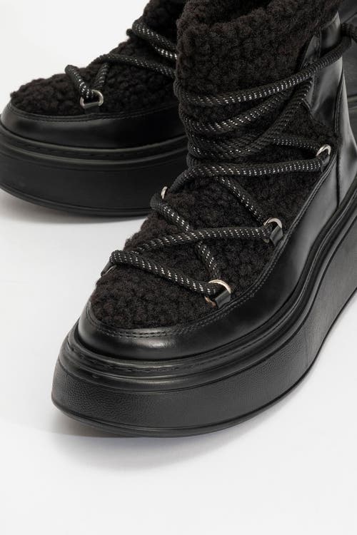 Prologue Shoes Dila Fur Lined Boot In Black