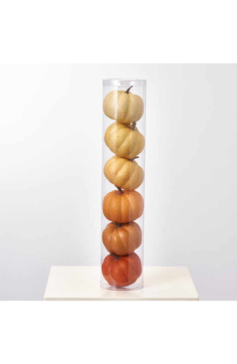 Darby Creek Trading Assorted Ombre Thanksgiving Harvest Pumpkin Set of 6, Main, color, Orange