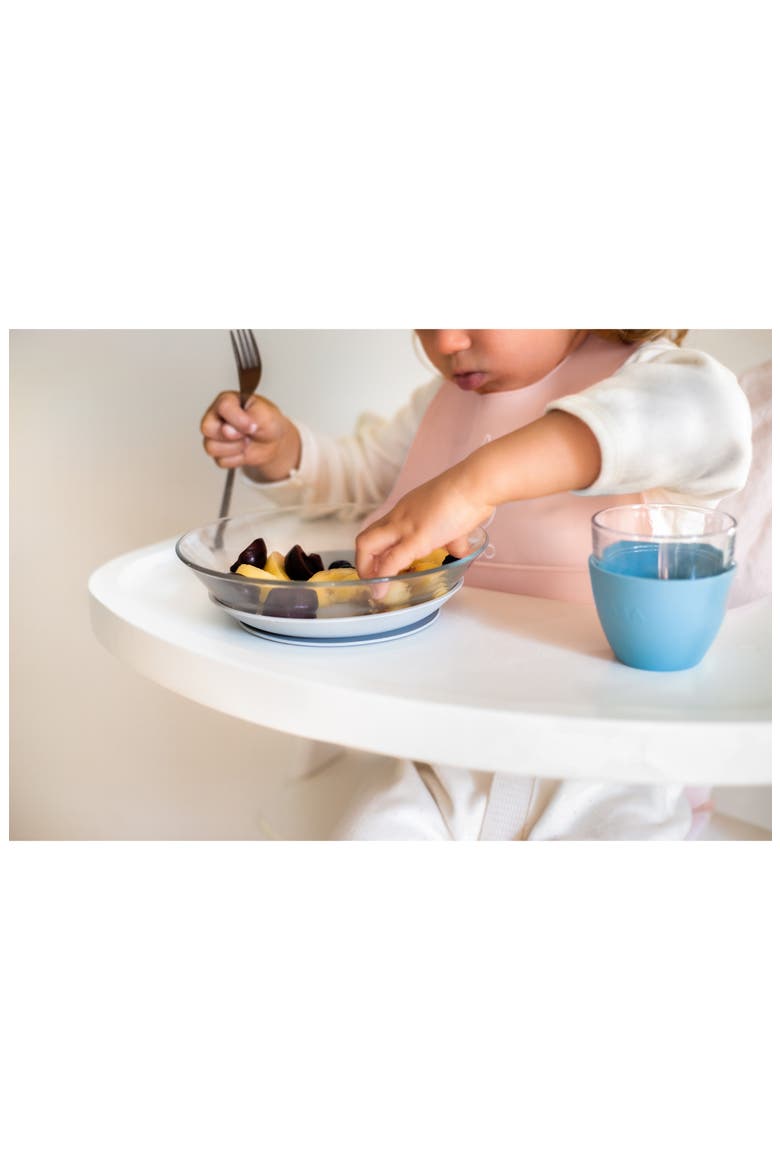 Glass Meal Set with Suction Pads, Alternate, color, RAIN