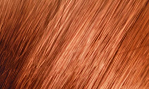 Phyto Color Permanent Hair Color