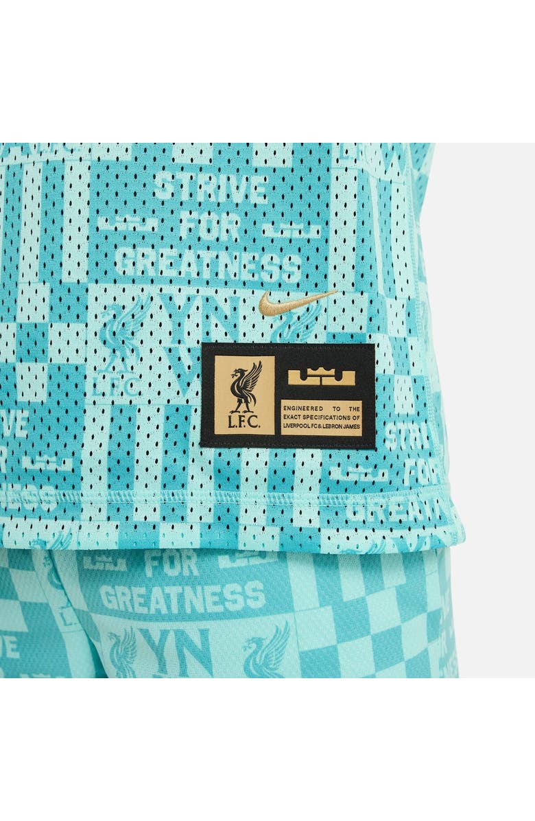 Nike Youth Nike x LeBron James Collection Aqua Liverpool 2023/24 Reversible Basketball Jersey, Alternate, color, 
