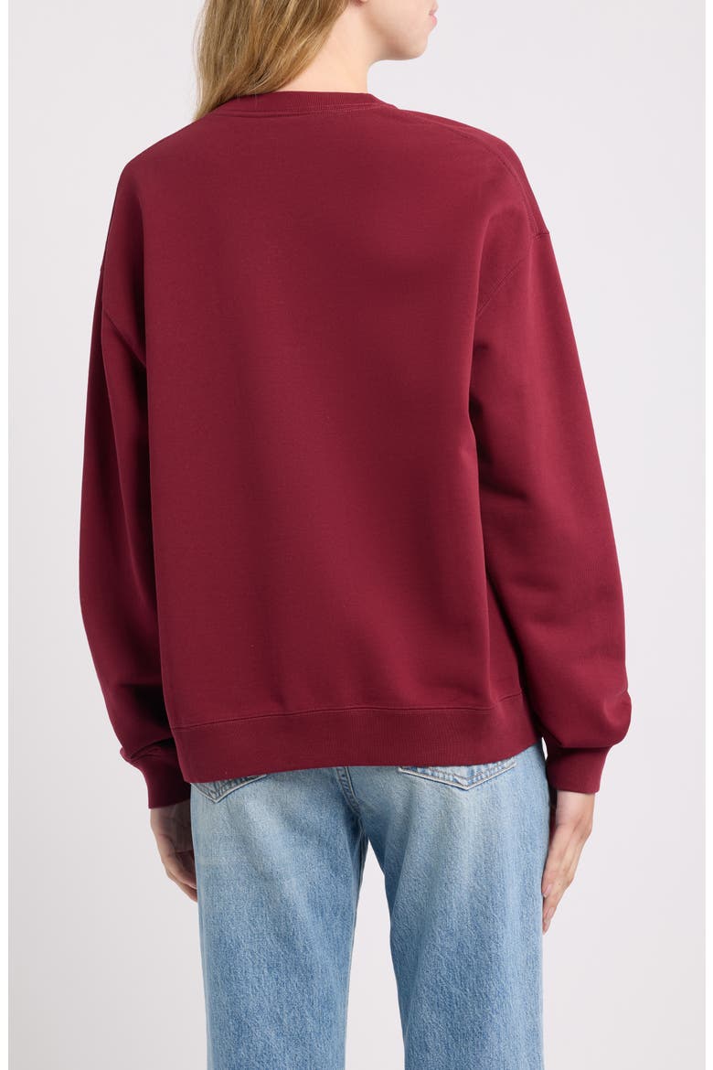 Wander Arctic Research Graphic Organic Cotton Sweatshirt, Alternate, color, BURNT VERMILLION