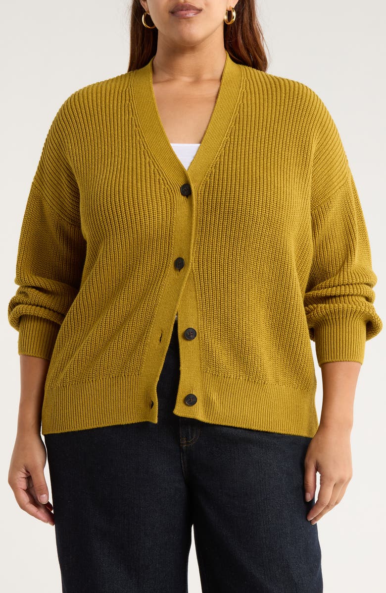 Seasalt Cornwall Winding Creek Oversize Organic Cotton Cardigan, Alternate, color, Pear