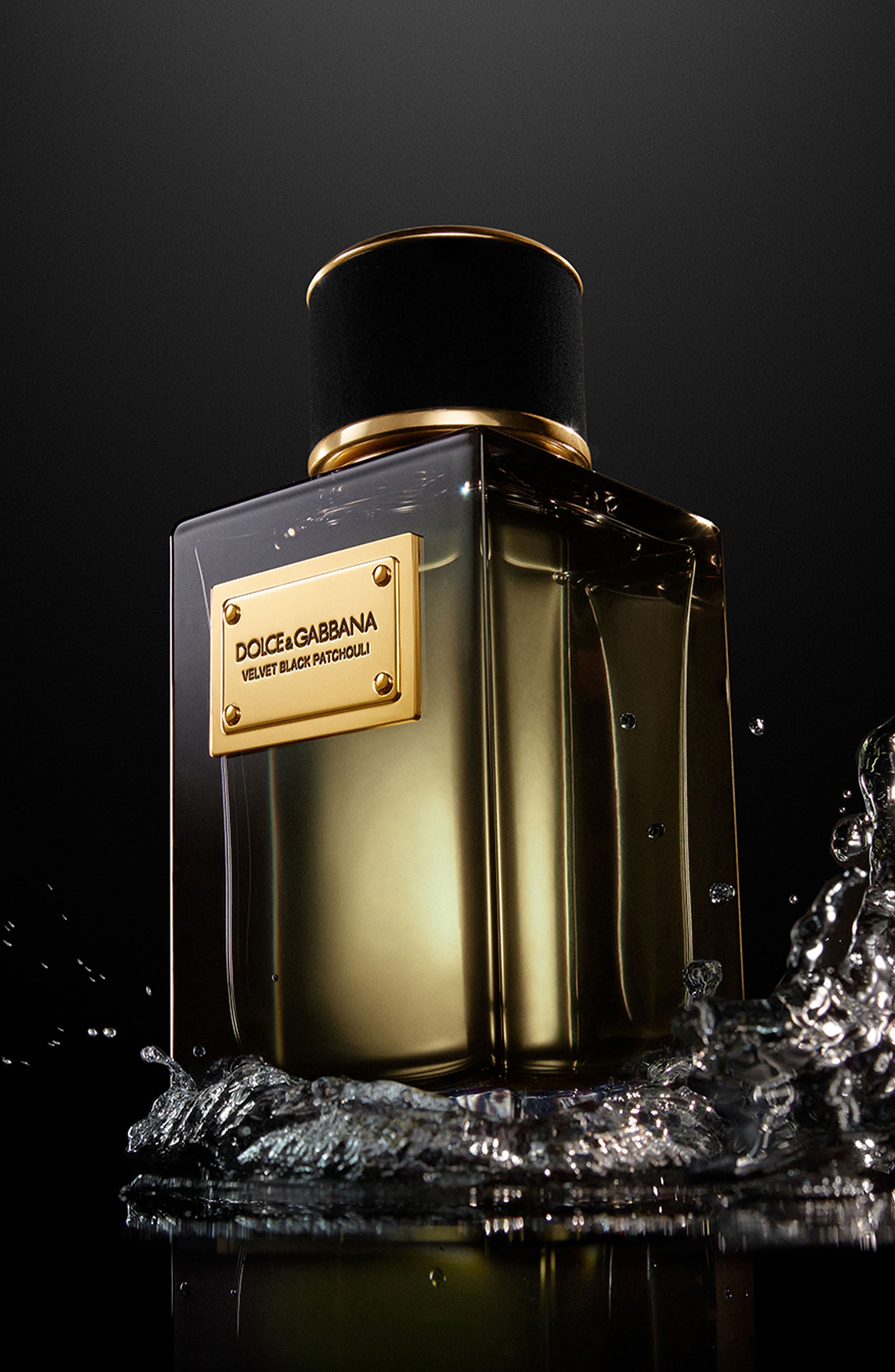 Dolce&Gabbana Velvet Black Patchouli Eau de Parfum (Women) | Nordstrom