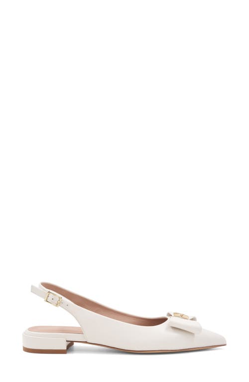 Bruno Magli Bella Pointed Toe Slingback Flat In Bone