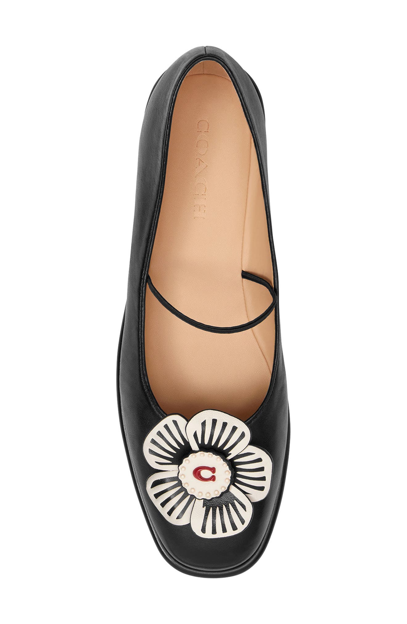 COACH Elaina Tea Rose Mary Jane Flat, Alternate, color, 