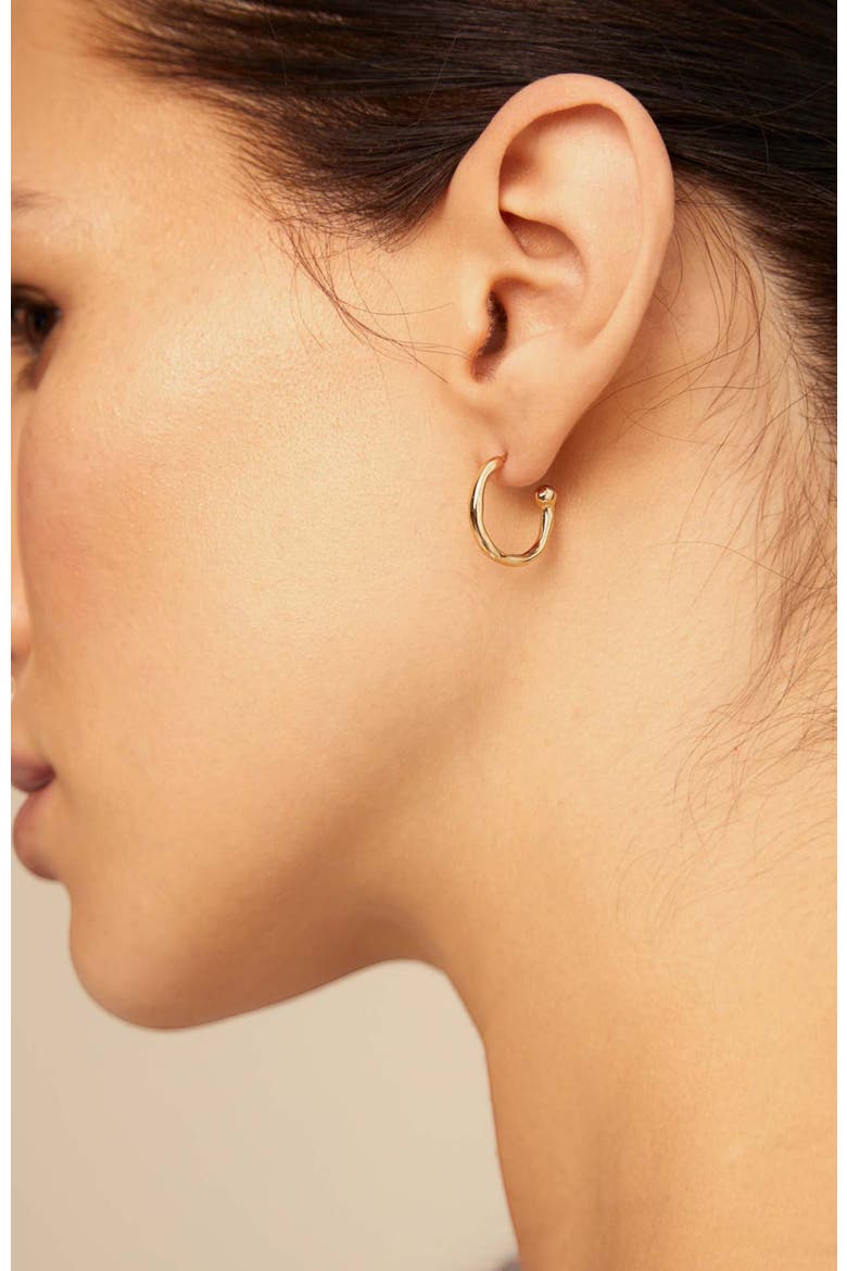 Hoop Shaped Earrings, Alternate, color, Gold