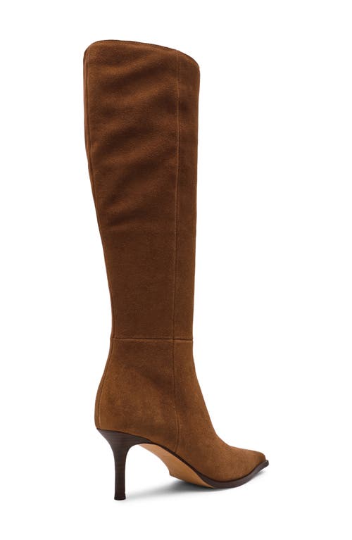 Steve Madden Lingo Pointed Toe Knee High Boot In Multi