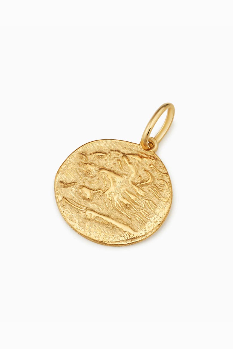 14K Gold Greek Lion Medallion Pendant Charm, Alternate, color, Yellow Gold