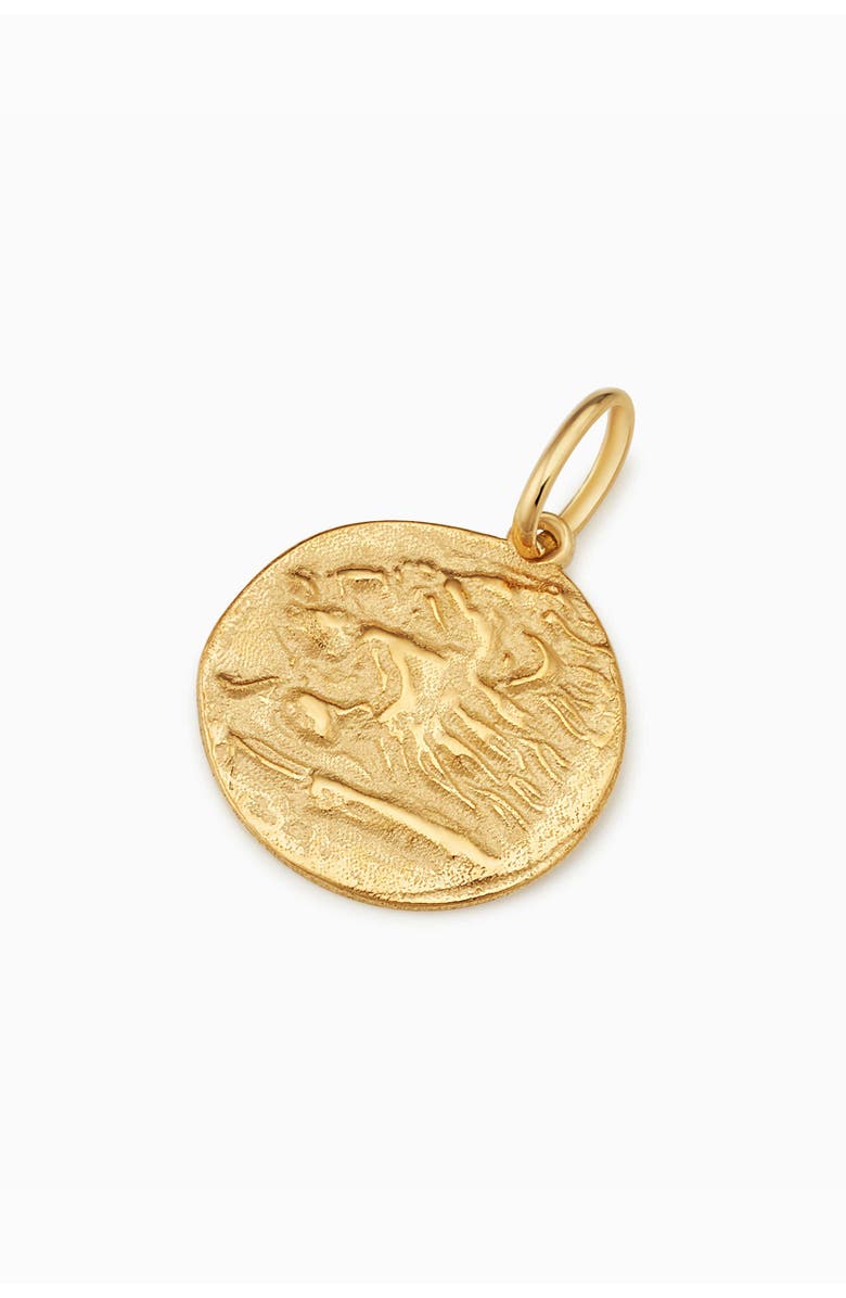 Oradina 14K Gold Greek Lion Medallion Pendant Charm, Alternate, color, Yellow Gold