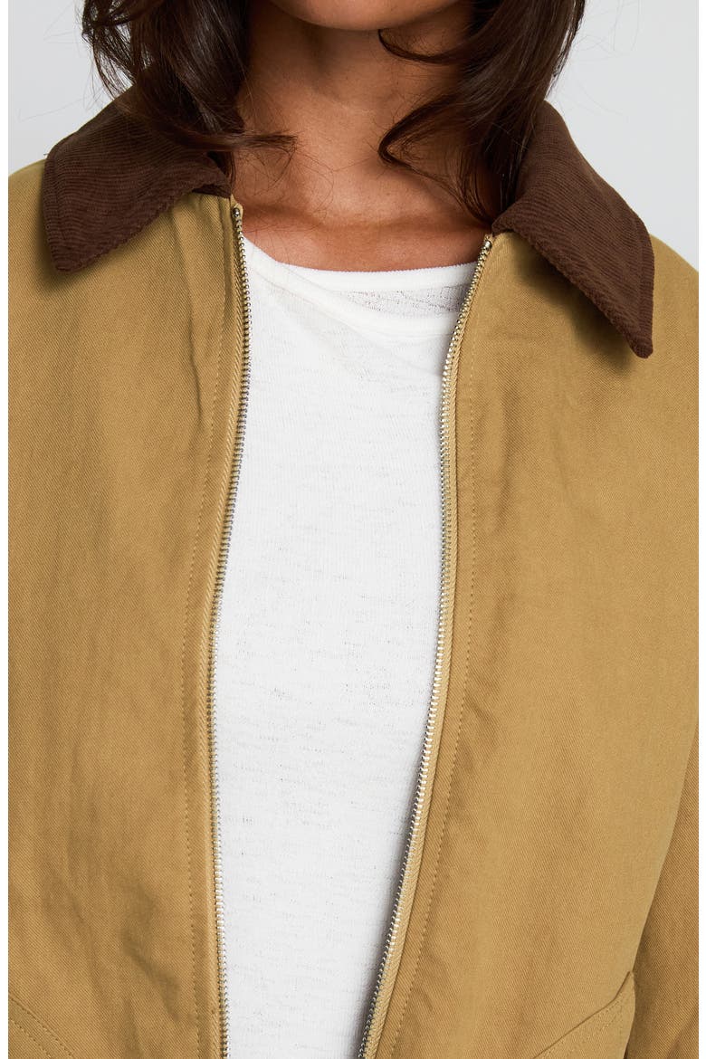 Chesterbrook Cotton Canvas Jacket, Alternate, color, BROWN