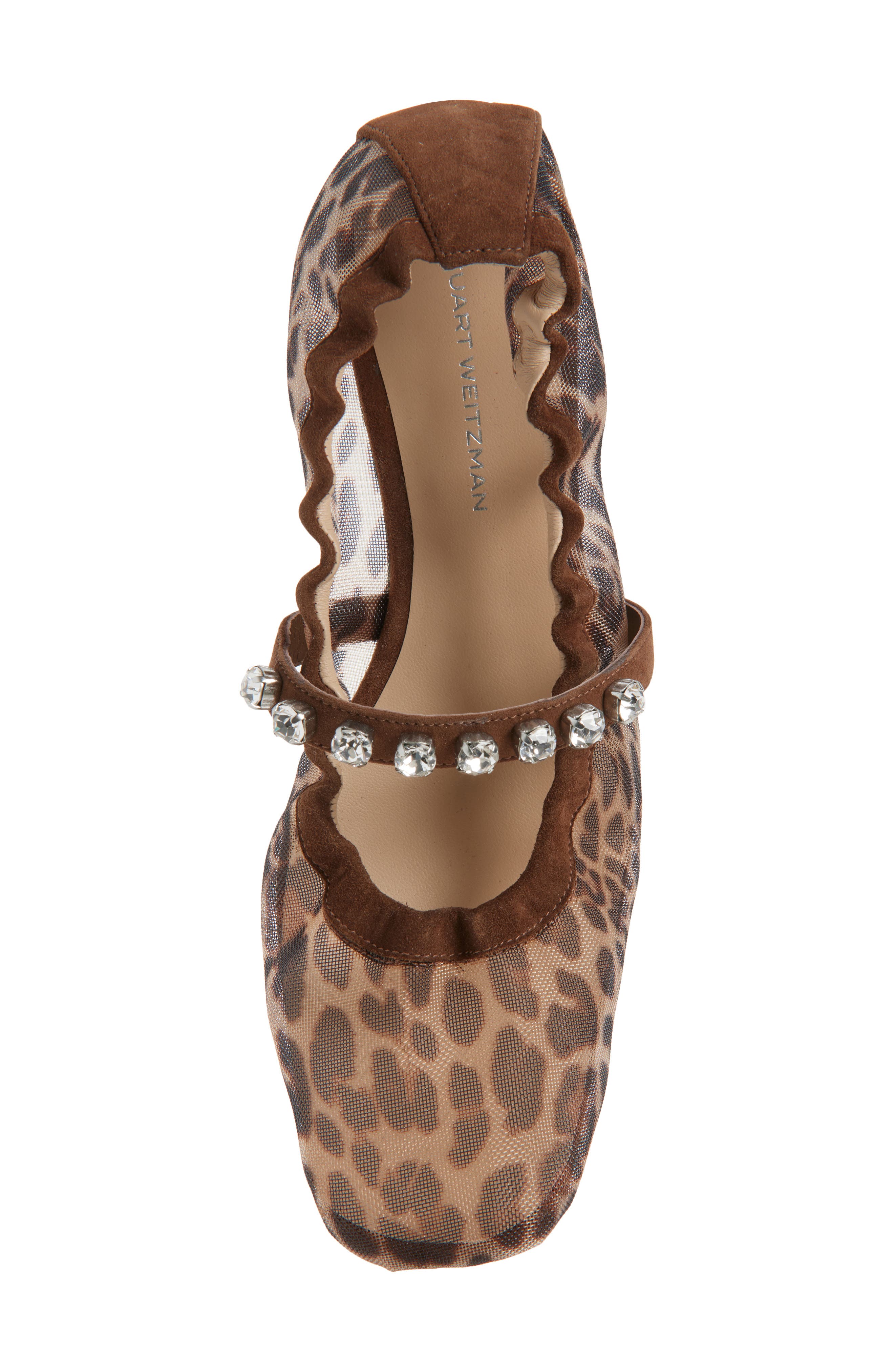Goldie Crystal Strap Ballet Flat, Alternate, color, CLASSIC CIGAR