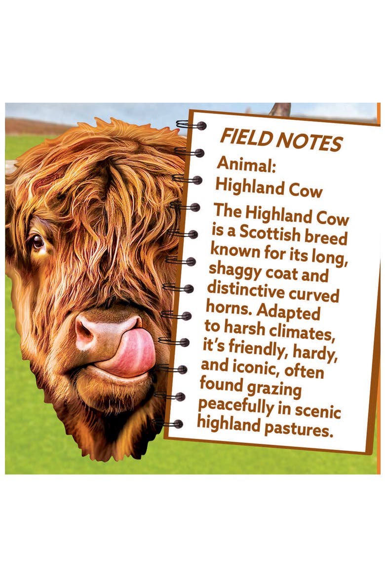 Highland Cow 100 Piece Shaped Puzzle, Alternate, color, Multicolor