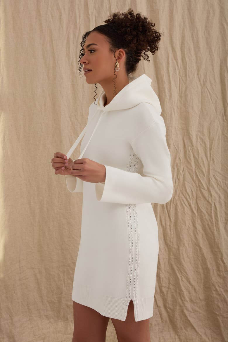 The Sweater Hoodie Mini Dress, Alternate, color, SALT