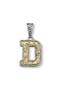  Silver/Gold D