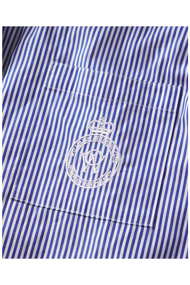 Savannah Button-Up Shirt, Alternate, color, NAVY BLUE STRIPE