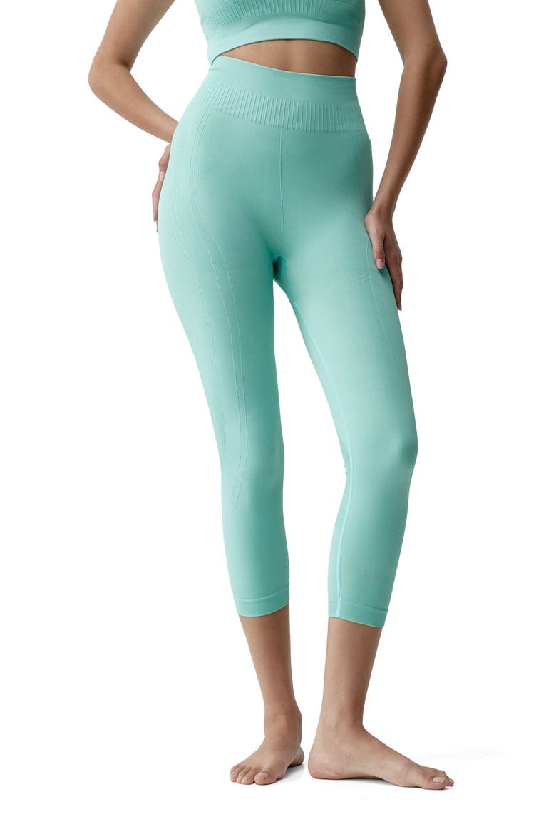 Eris Seamless Capri Sports Legging, Main, color, Greece Blue