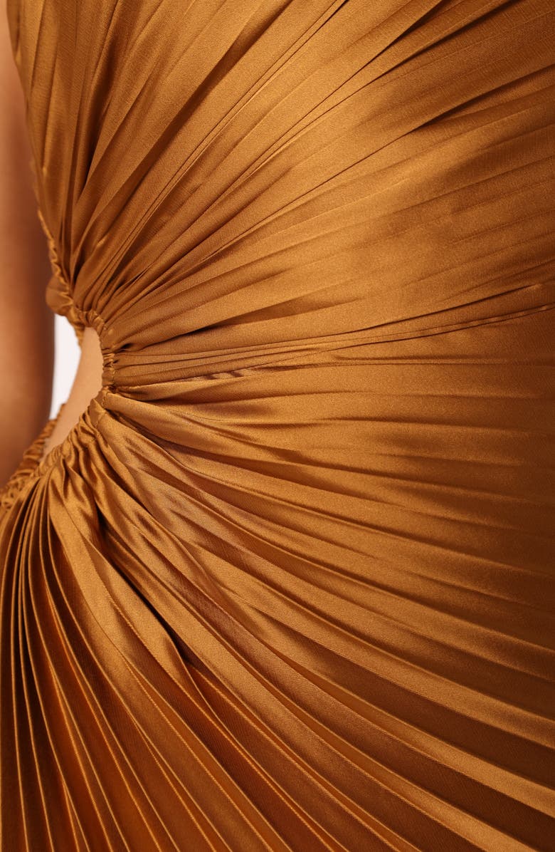 Petal & Pup Kleo One-Shoulder Pleated Maxi Dress, Alternate, color, Golden Ochre