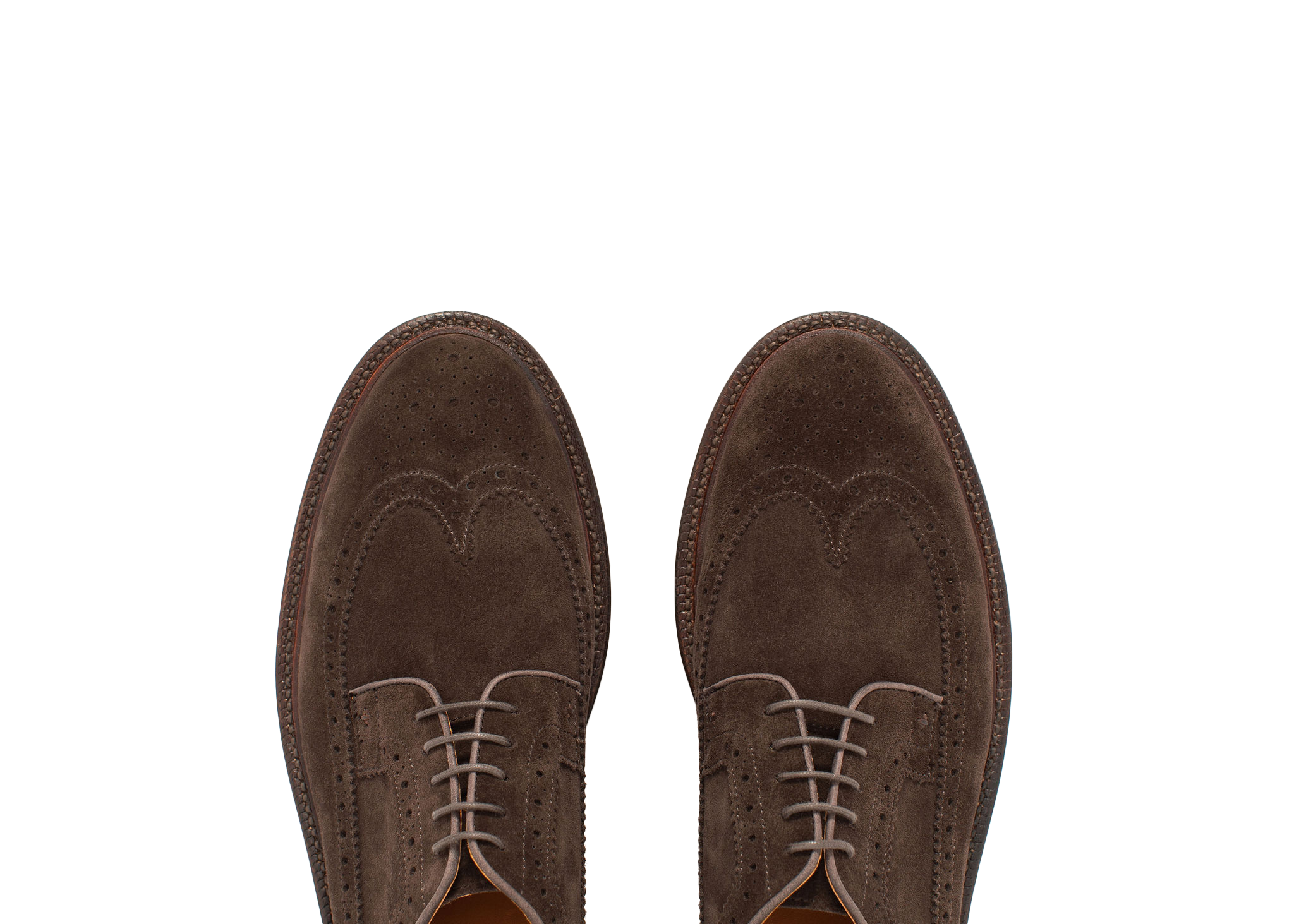 Longwing Shoe, Alternate, color, Espresso Suede