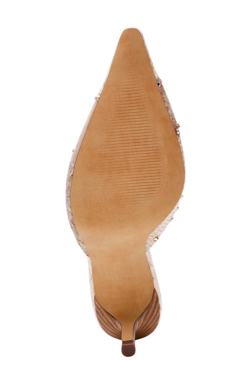 Steve Madden Alexi Pointed Toe Mule In Multi