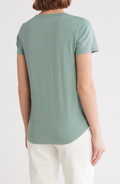 Shop Madewell Vintage Crewneck Cotton T-shirt In Pale Eucalyptus