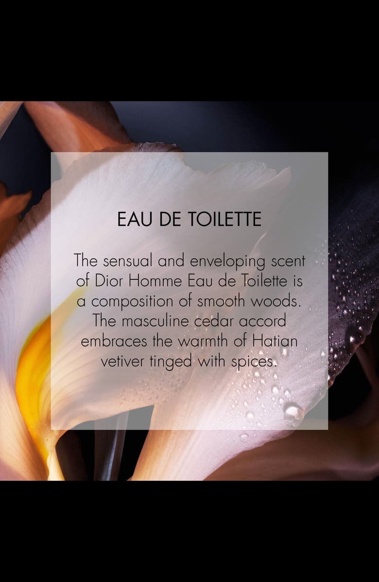 DIOR Homme Eau de Toilette, Alternate, color, 