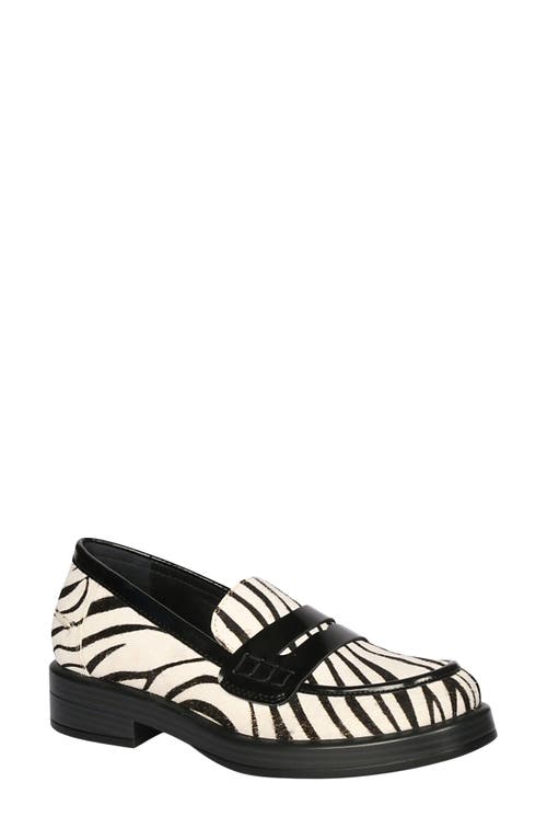 Saint G Zuri Zebra Loafer In Multi