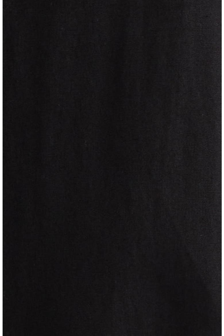 Poppy Embroidered Belted Stretch Poplin Shirtdress, Alternate, color, BLACK MULTI
