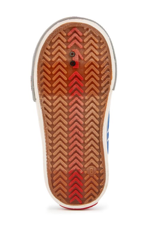 See Kai Run Tanner Sneaker In Bright Blue