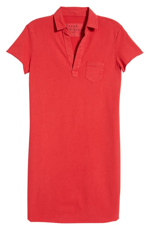 Frank & Eileen Lauren Polo Dress
