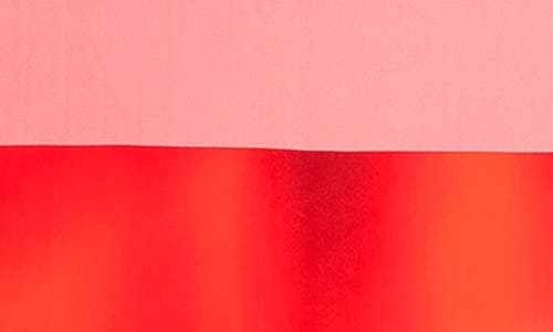 Dries Van Noten Foulard Raving Rose Silk Scarf