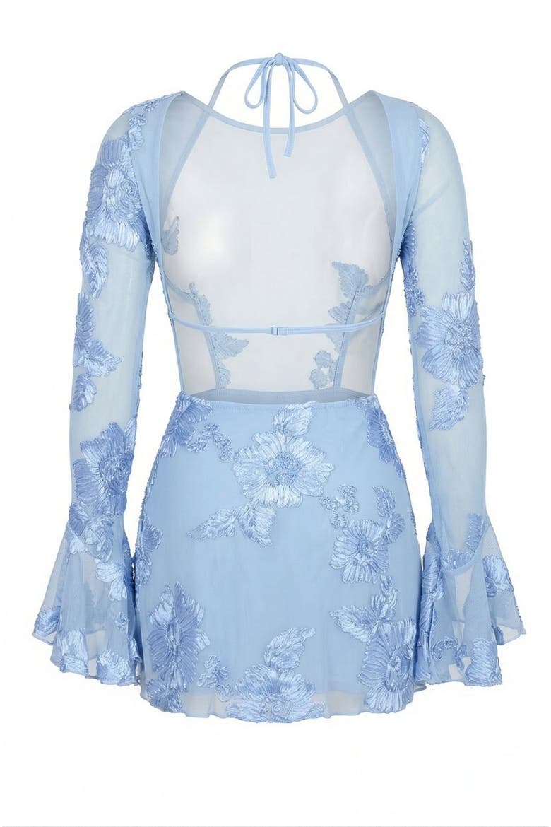 Sheer Floral Embroidered Mini Dress, Alternate, color, Pastel Blue