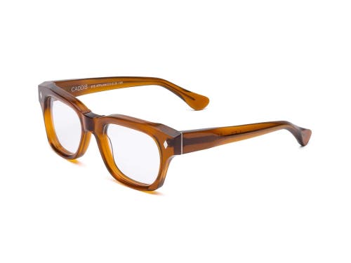 Caddis Muzzy | Reading Glasses