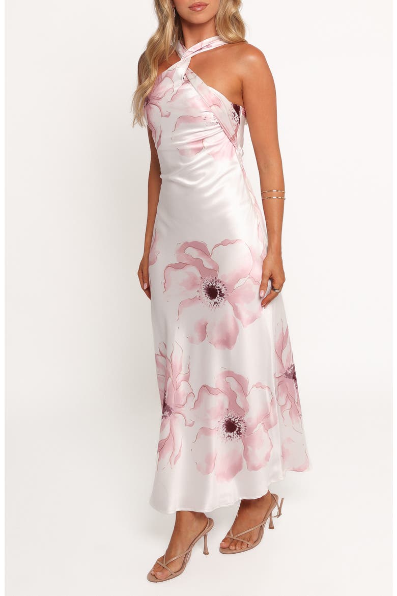 Regina Floral Stain Maxi Dress, Alternate, color, PINK FLORAL
