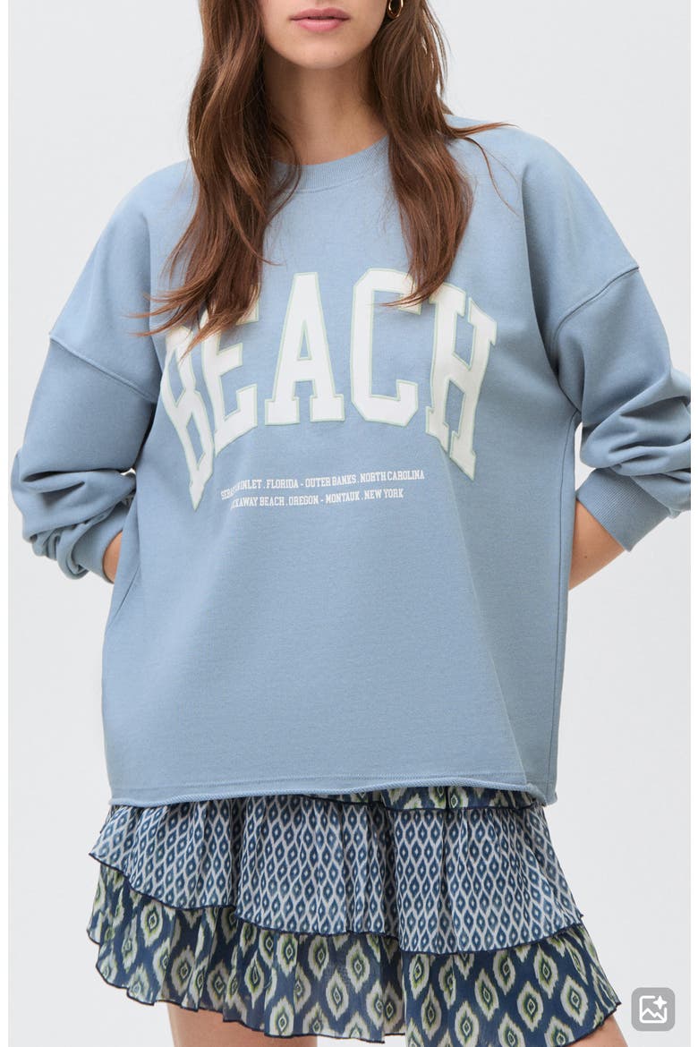 Oversize Embroidered Sweatshirt, Main, color, BLUE