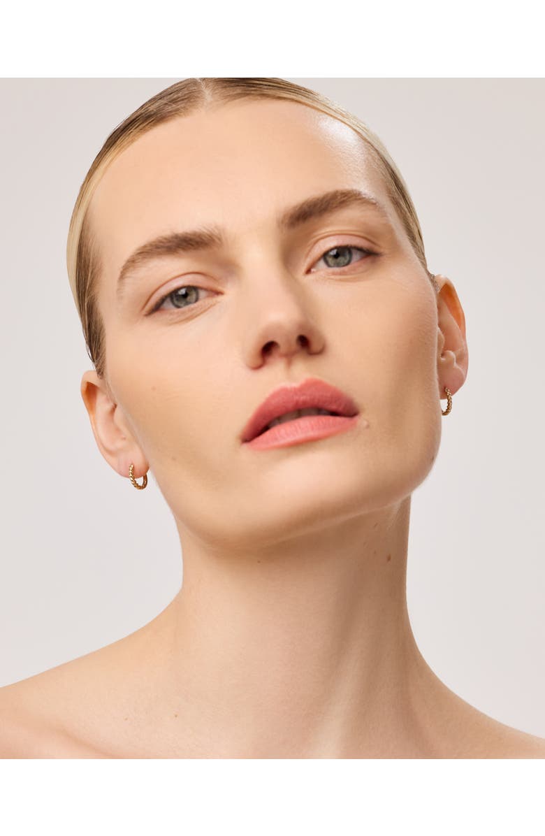 Ana Luisa Solid Yellow Gold - Gold Twist Hoops Small, Alternate, color, Gold