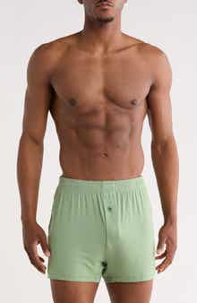 Stance Boxer Briefs