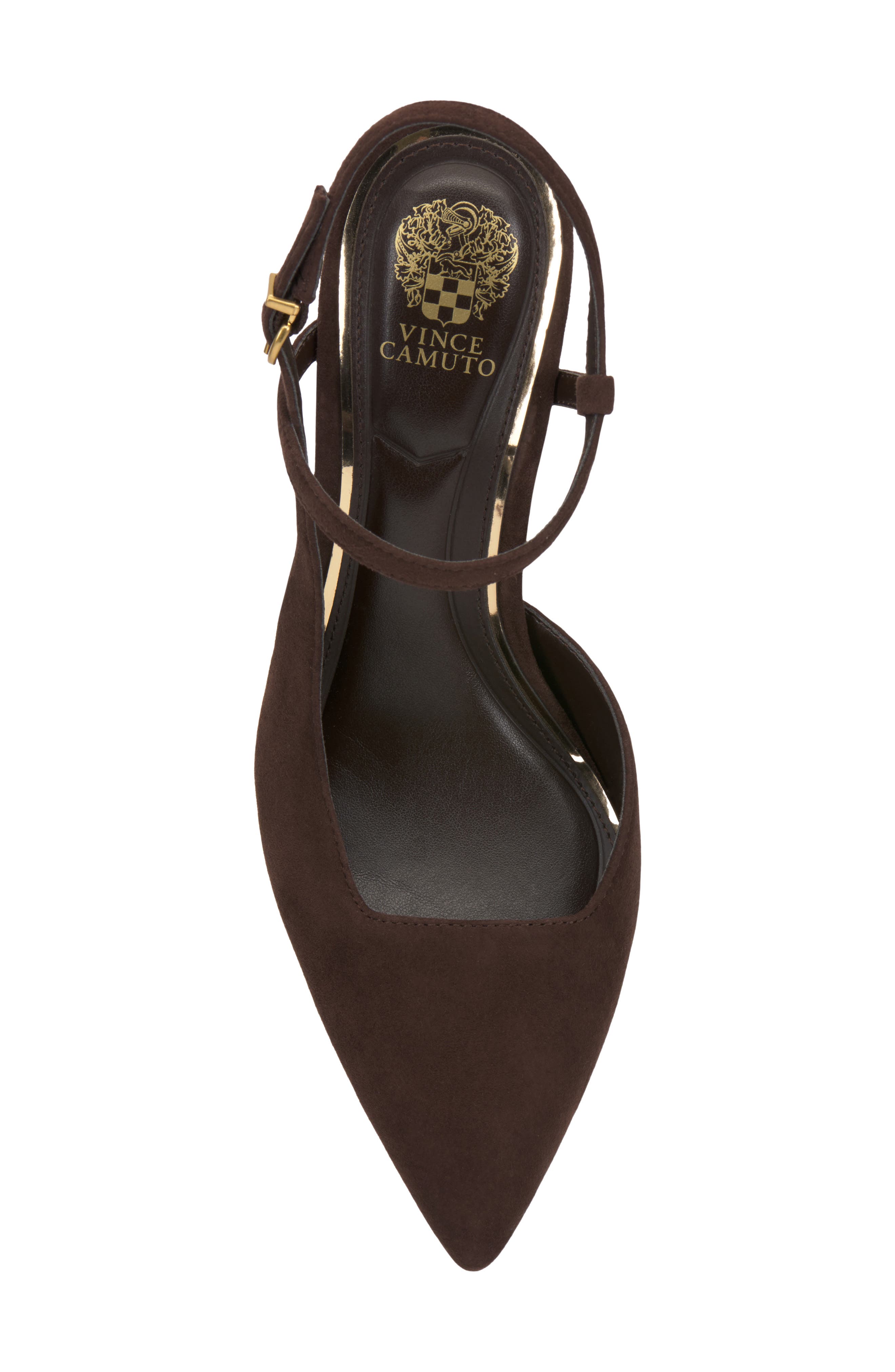 Bevarin Leather Pointed Toe Pump, Alternate, color, BROWNIE