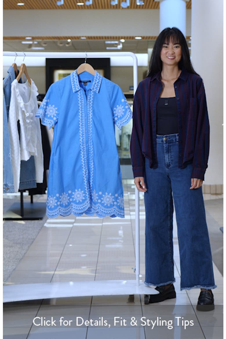 Alissa Embroidered Cotton Mini Shirtdress video