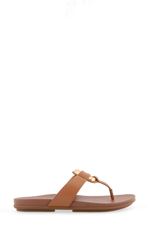 AEROSOLES AEROSOLES FALLON HARNESS SANDAL 
