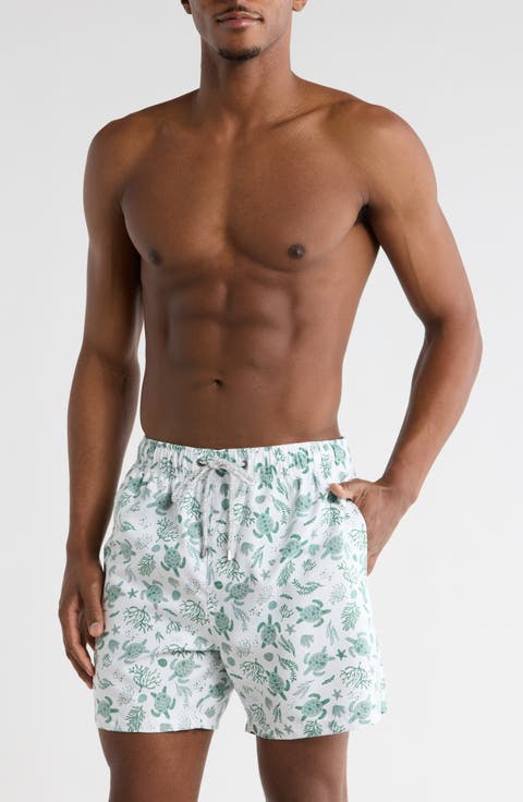 Turtle Print Swim Shorts