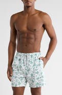 Vintage Summer Turtle Print Swim Shorts
